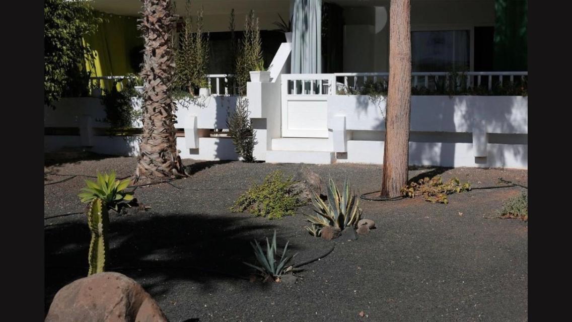 Daruma Apartments Costa Teguise Exterior photo